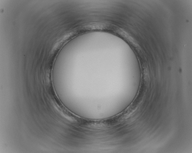 X0000073900537200609082150