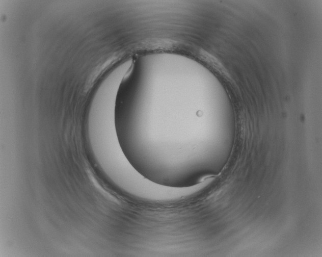 X0000073900538200609082150