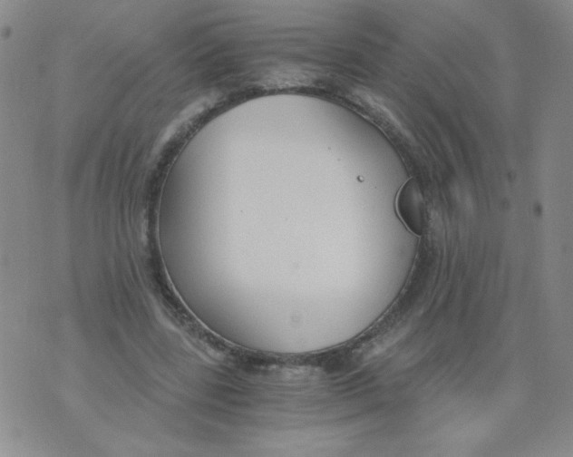 X0000073900539200609082150