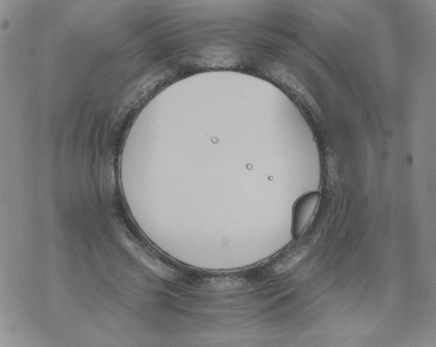 X0000073900541200609082150