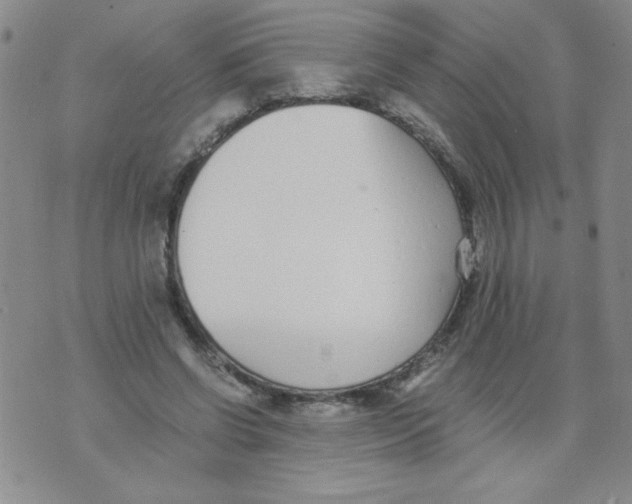 X0000073900542200609082150