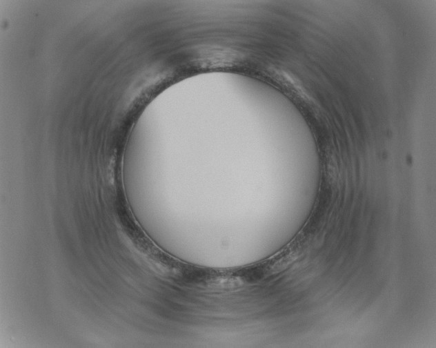 X0000073900543200609082150