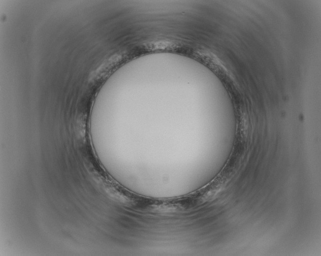 X0000073900545200609082150