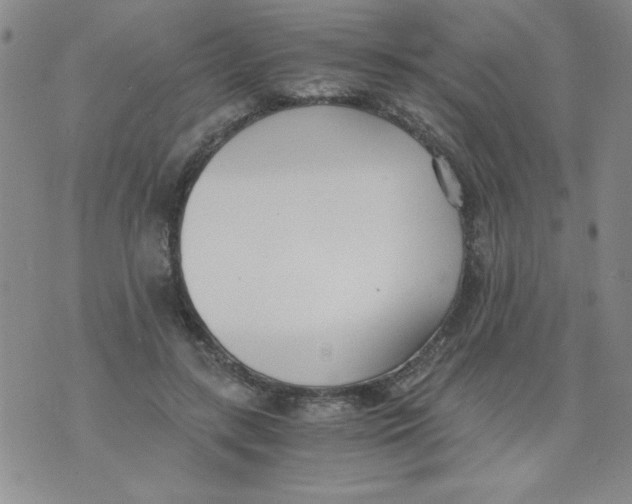 X0000073900547200609082150