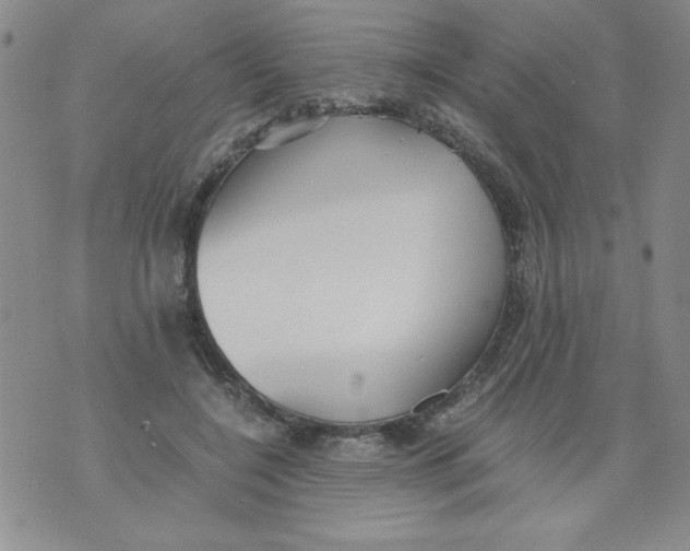 X0000073900548200609082150