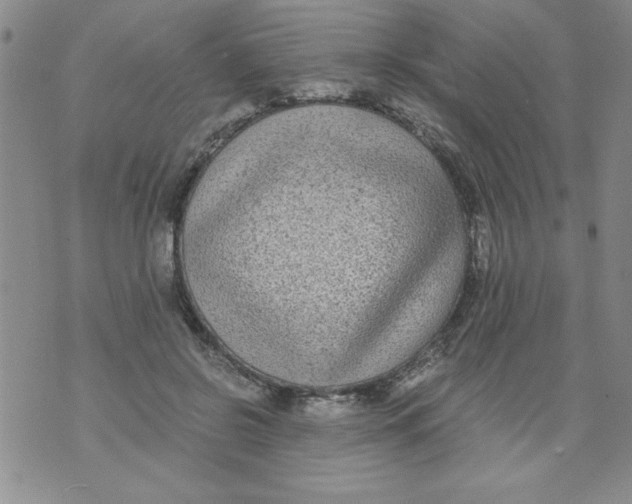 X0000073900550200609082150