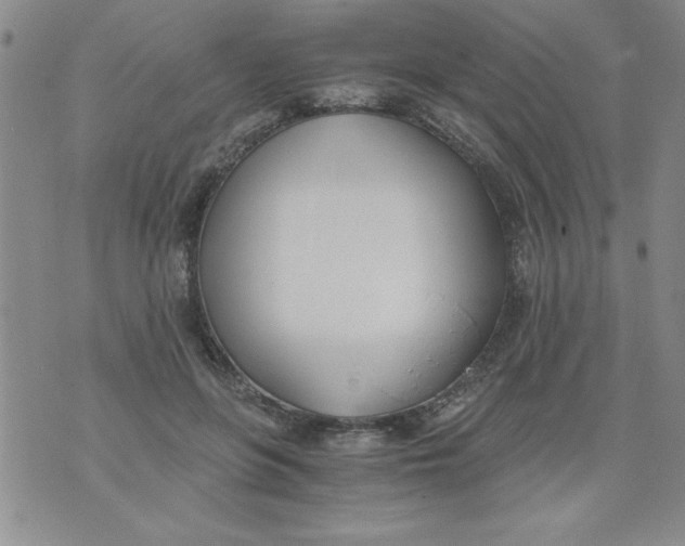 X0000073900551200609082150