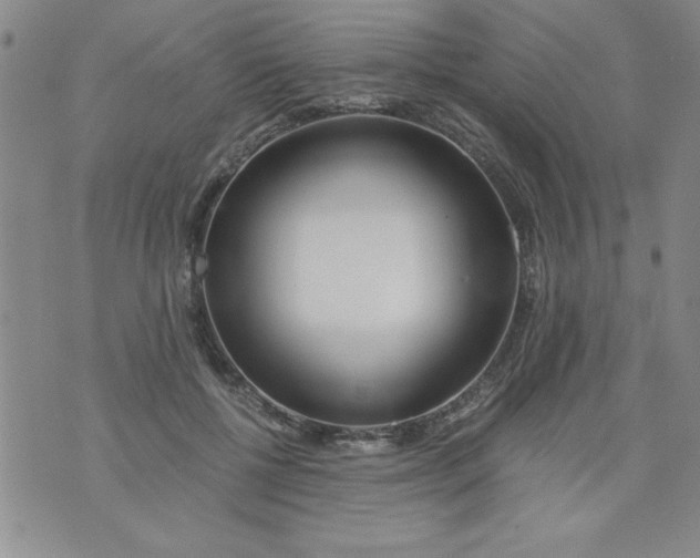 X0000073900552200609082150