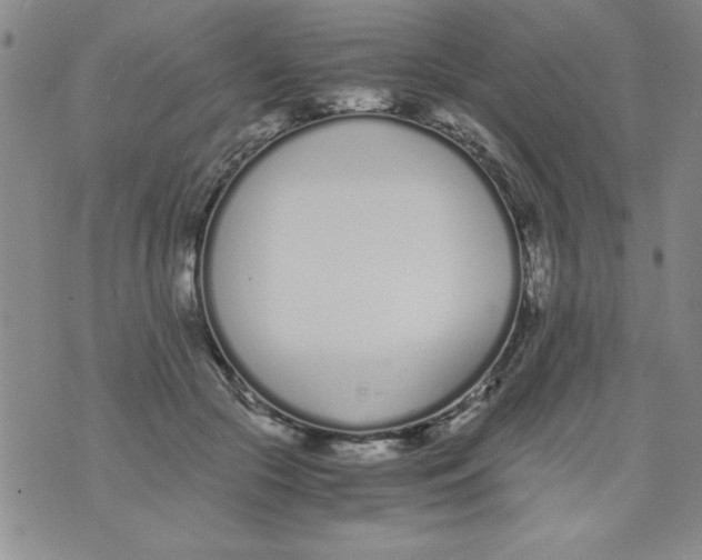 X0000073900553200609082150