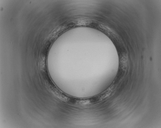 X0000073900554200609082150