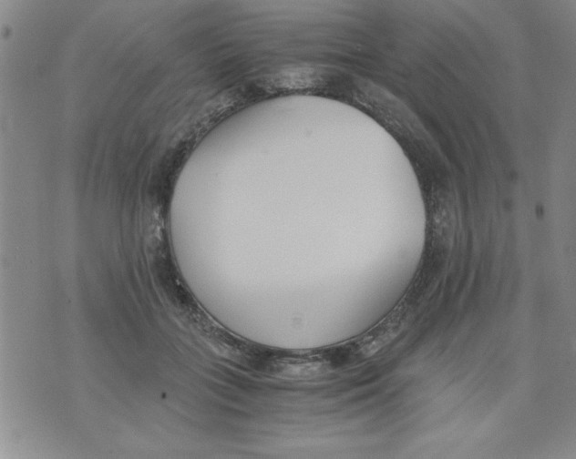 X0000073900555200609082150