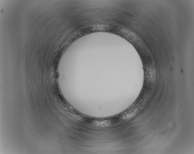 X0000073900557200609082150