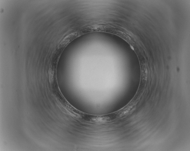 X0000073900558200609082150