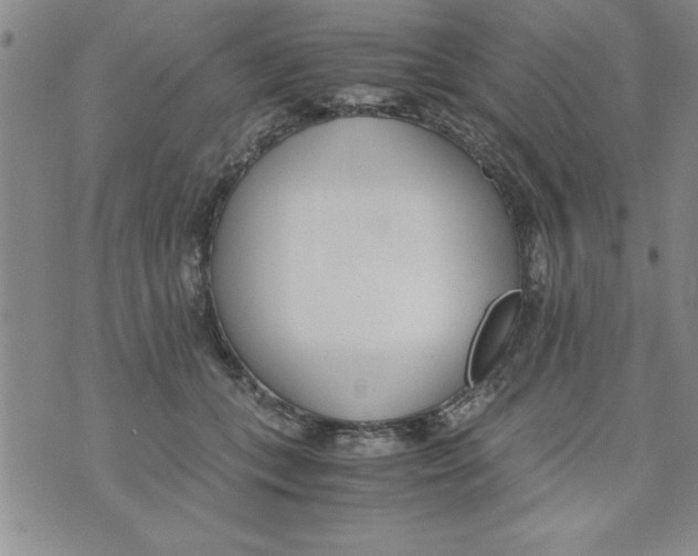 X0000073900559200609082150