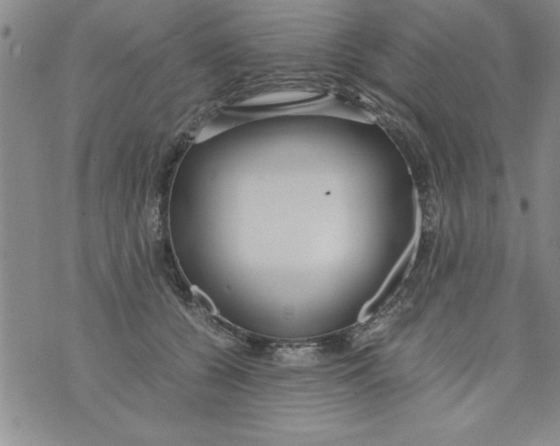 X0000073900560200609082150