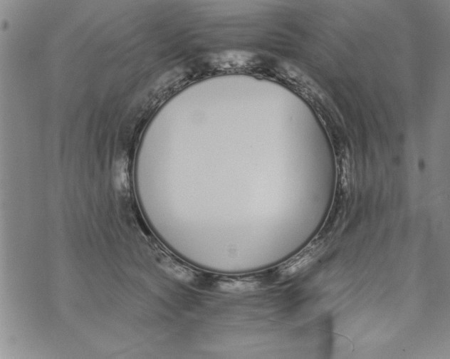 X0000073900561200609082150