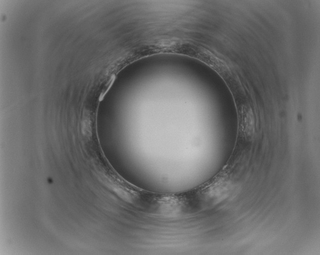 X0000073900562200609082150