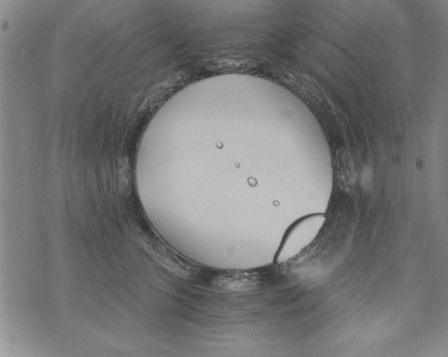 X0000073900563200609082150