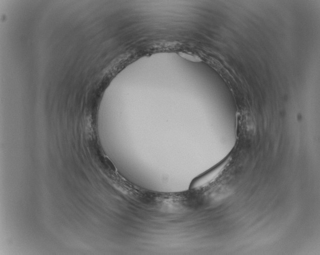 X0000073900564200609082150