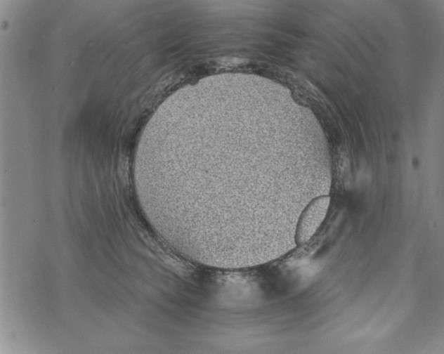 X0000073900565200609082151