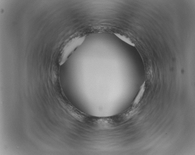 X0000073900566200609082151