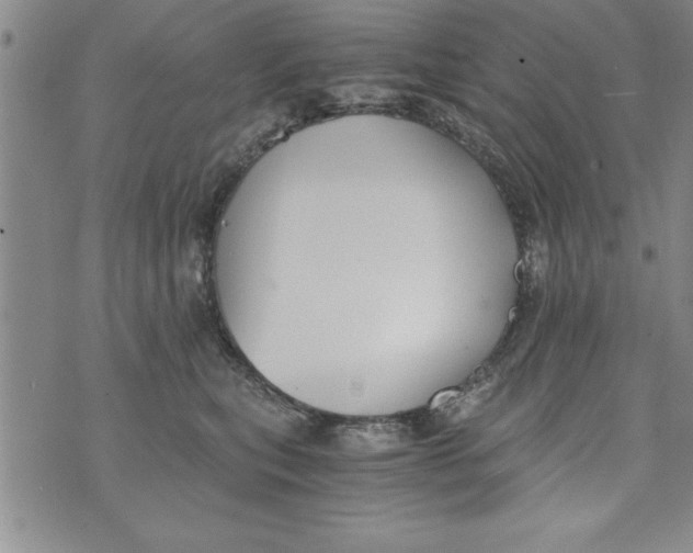 X0000073900567200609082151