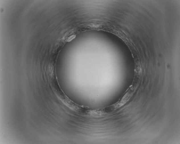 X0000073900568200609082151