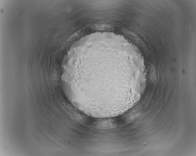 X0000073900569200609082151