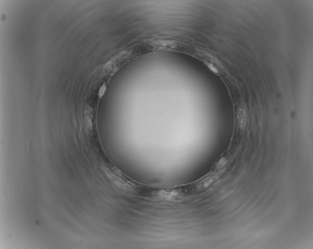 X0000073900570200609082151