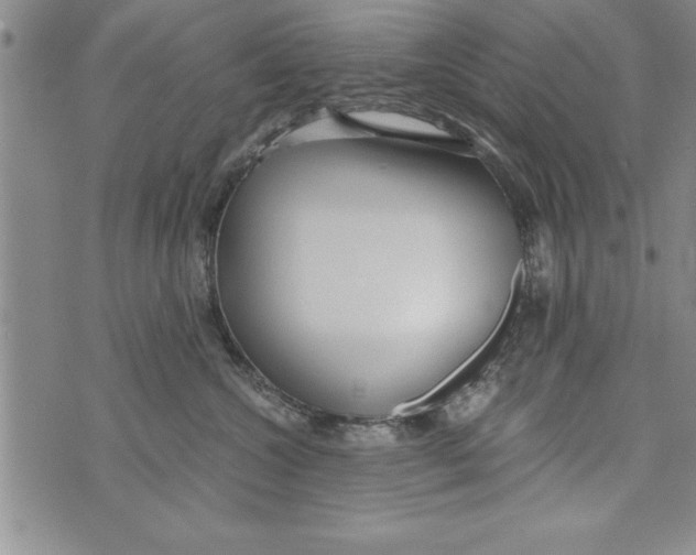 X0000073900572200609082151