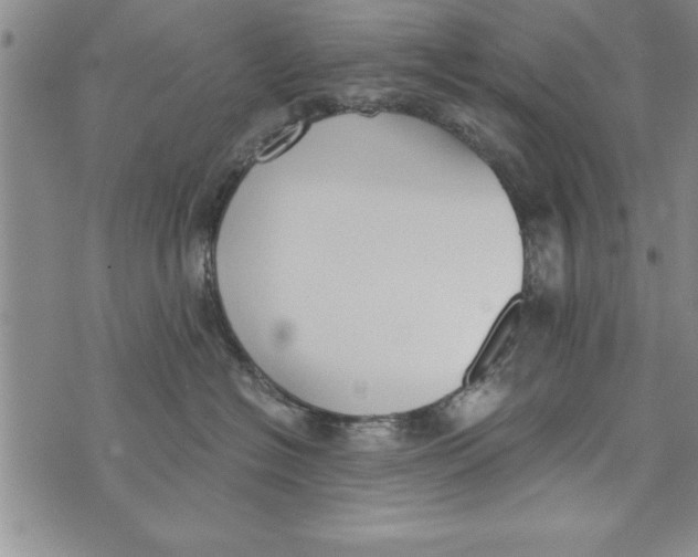 X0000073900574200609082151