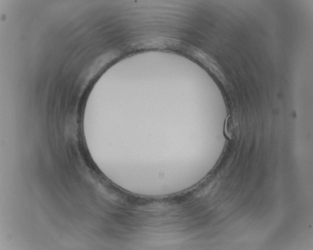 X0000073900578200609082150