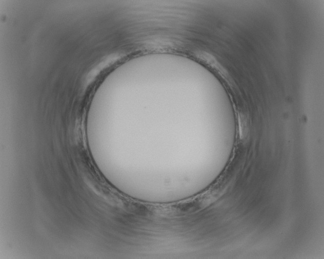 X0000073900579200609082150