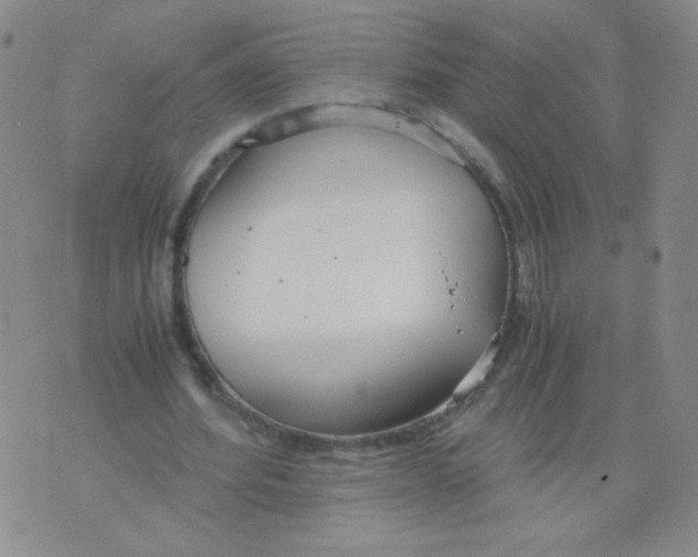 X0000073900580200609082150