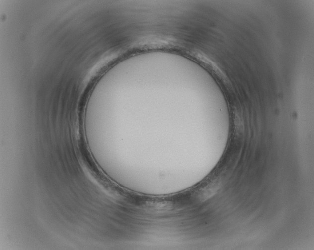 X0000073900582200609082150