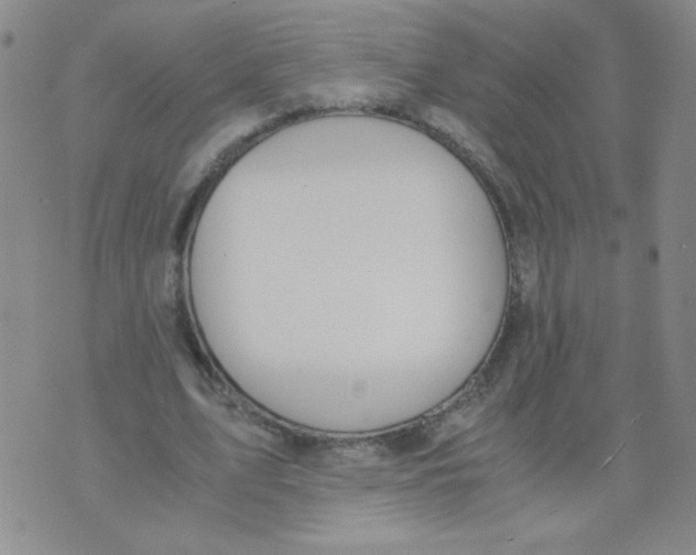 X0000073900583200609082150