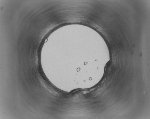 X0000073900584200609082150