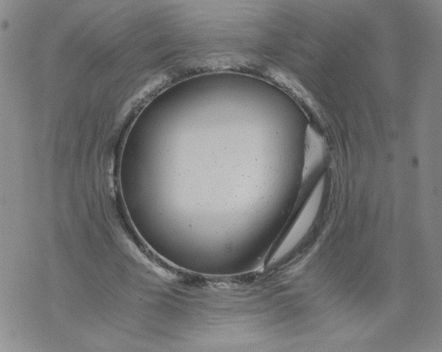 X0000073900585200609082150