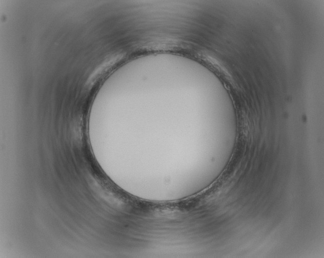 X0000073900586200609082150