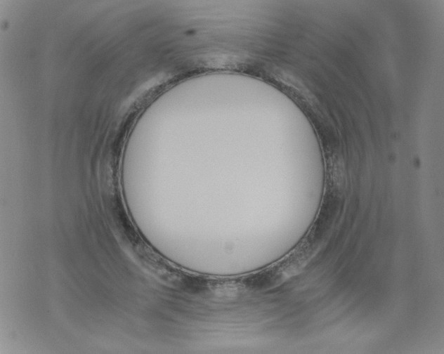 X0000073900587200609082150