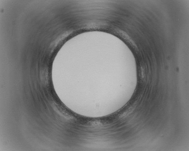 X0000073900588200609082150