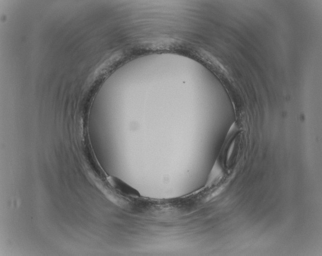 X0000073900589200609082150