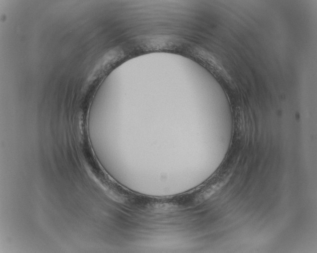 X0000073900590200609082150