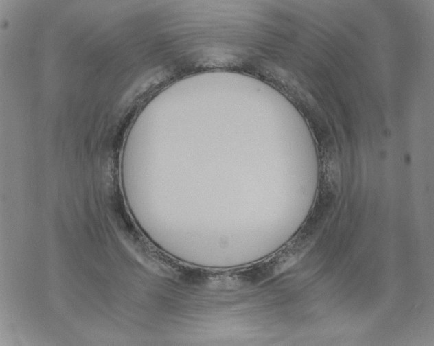 X0000073900591200609082150