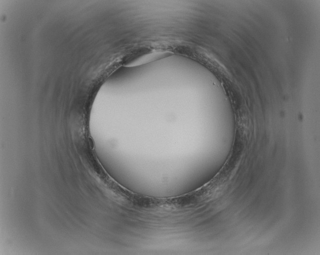 X0000073900593200609082150