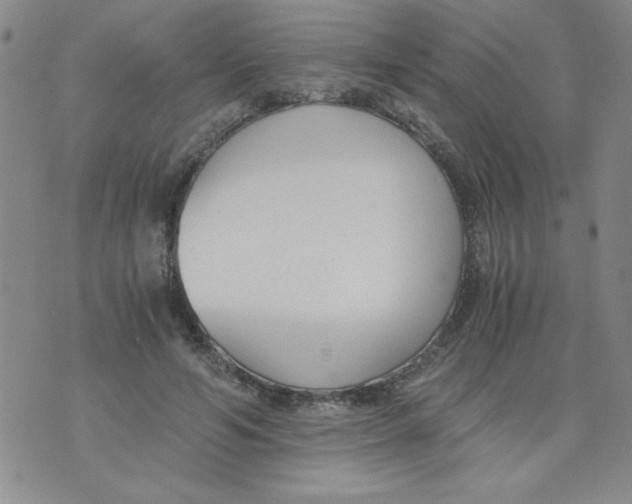 X0000073900594200609082150