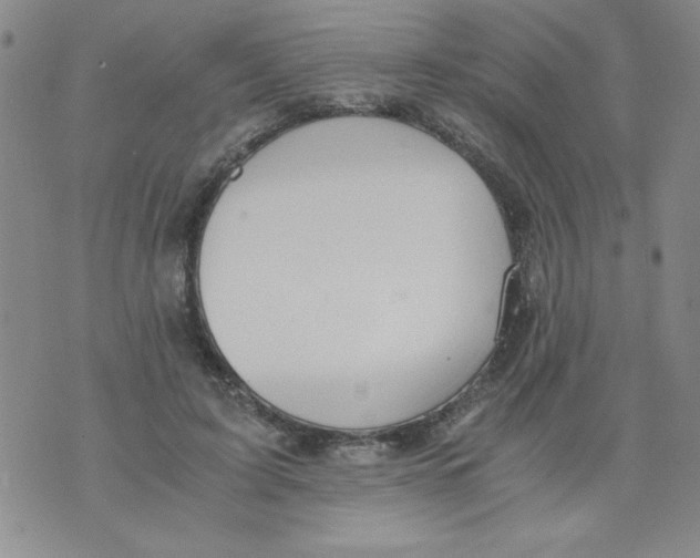 X0000073900595200609082150