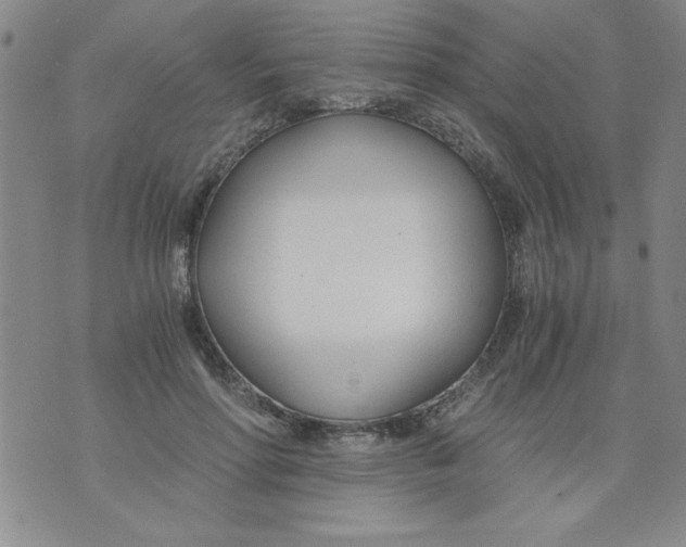 X0000073900598200609082150