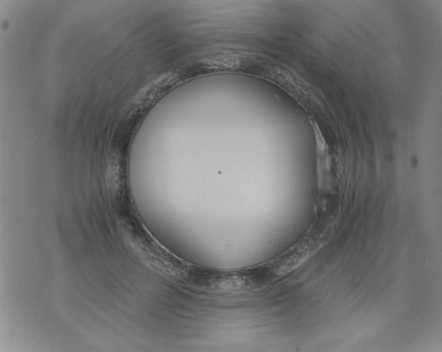 X0000073900600200609082150