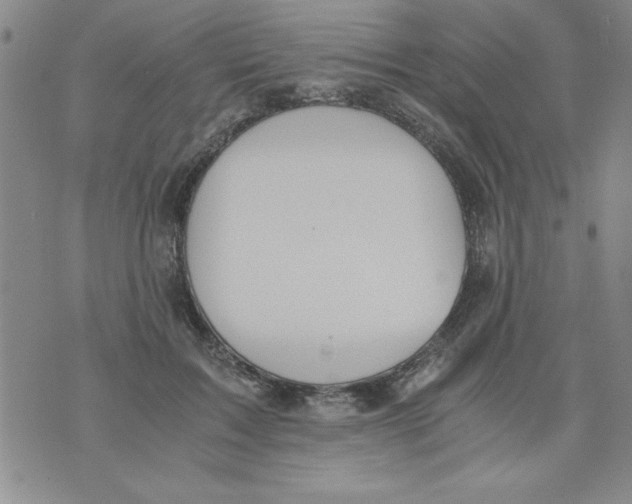 X0000073900603200609082149